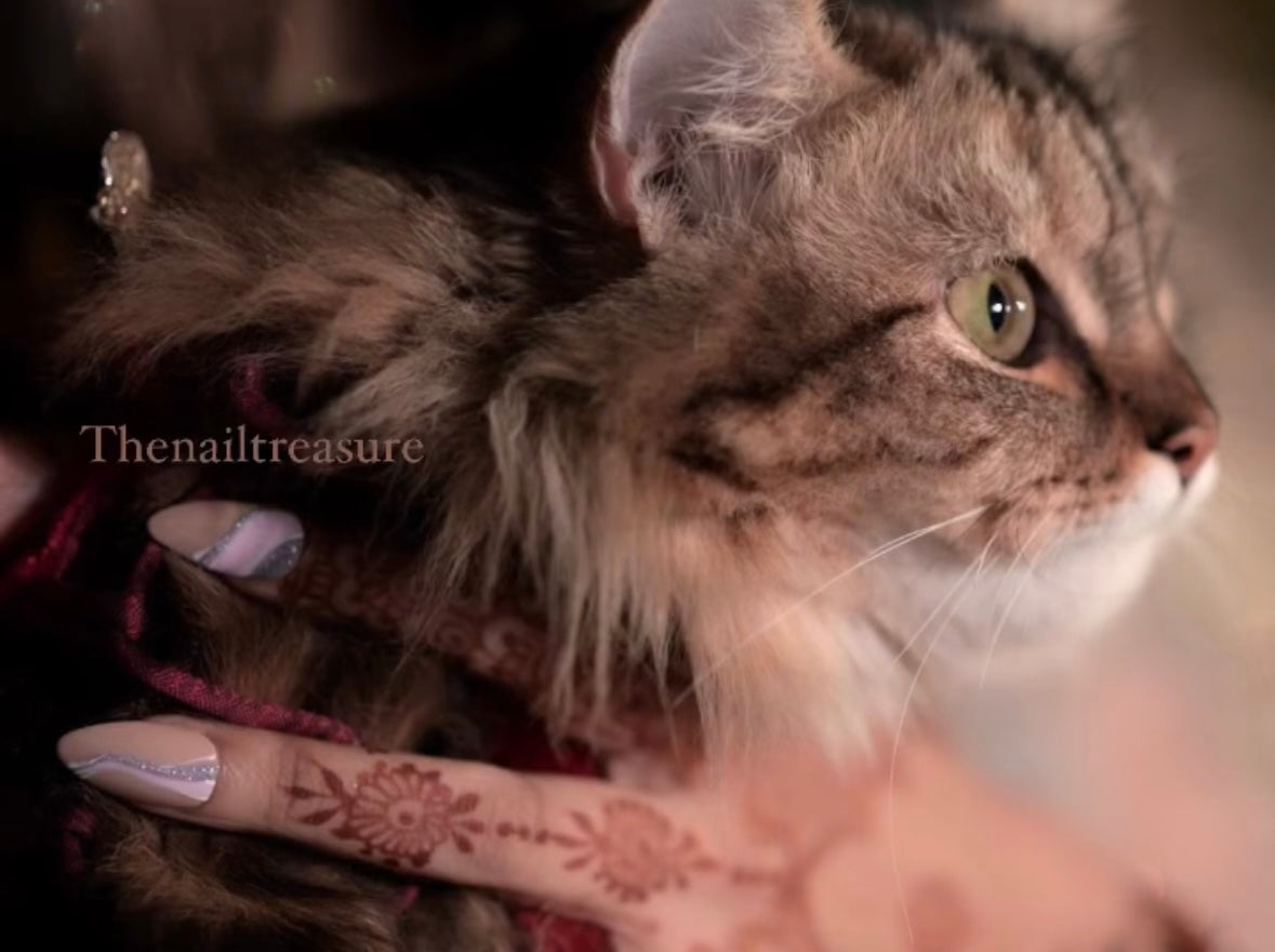 Ayesha Khan - Featuring The Nail Treasure Happy Clients